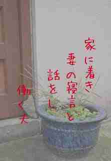 川柳イメージ