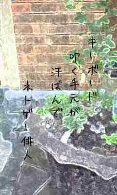 川柳イメージ
