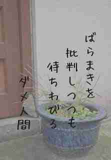 川柳イメージ