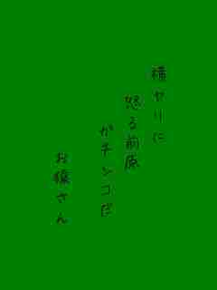 川柳イメージ