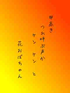 川柳イメージ