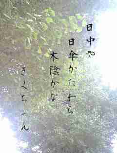 川柳イメージ