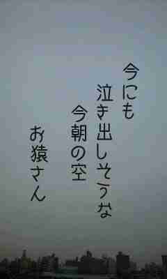川柳イメージ
