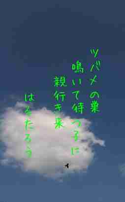 川柳イメージ