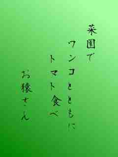川柳イメージ