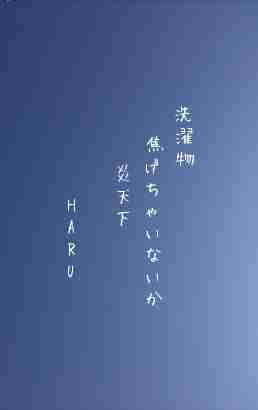 川柳イメージ