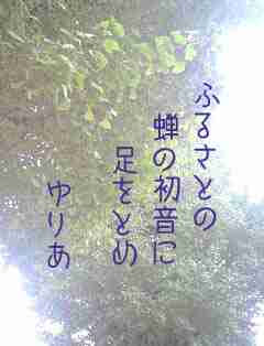 川柳イメージ