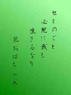 川柳イメージ