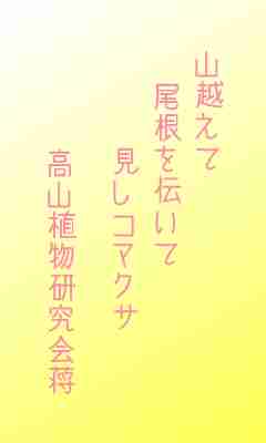 川柳イメージ