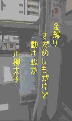 川柳イメージ