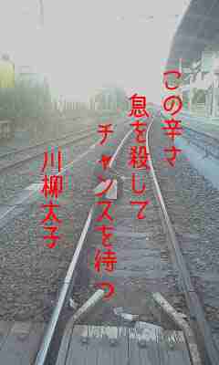 川柳イメージ