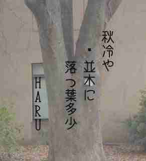 川柳イメージ