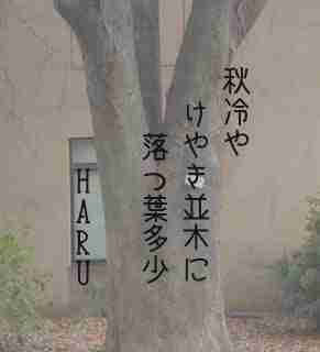 川柳イメージ