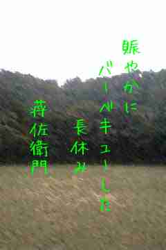 川柳イメージ