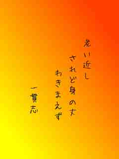 川柳イメージ