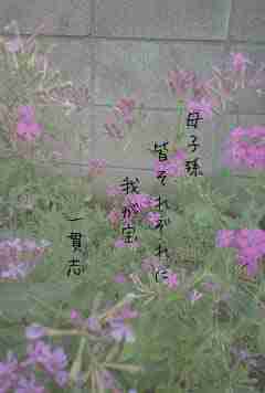 川柳イメージ