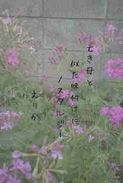 川柳イメージ