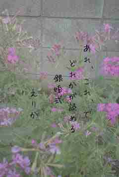 川柳イメージ