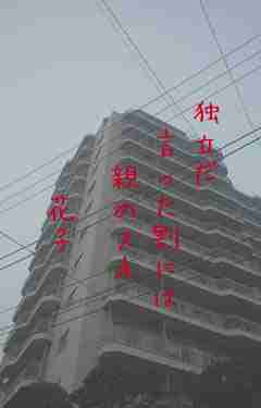 川柳イメージ