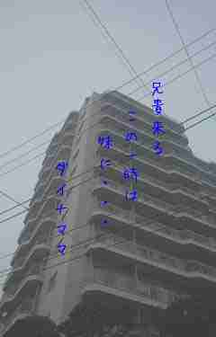 川柳イメージ