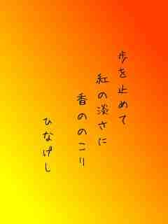 川柳イメージ