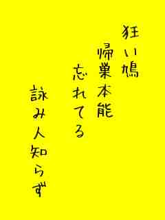 川柳イメージ