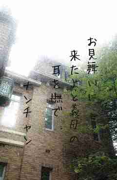 川柳イメージ