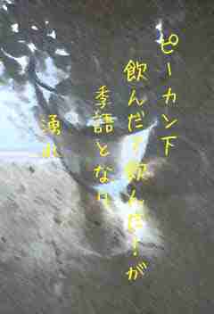 川柳イメージ