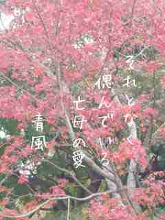 川柳イメージ