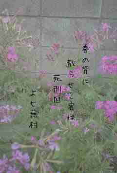 川柳イメージ