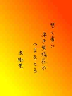 川柳イメージ