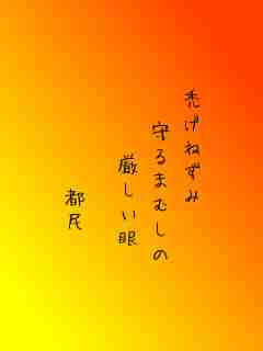 川柳イメージ