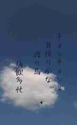 川柳イメージ