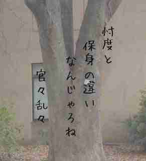 川柳イメージ