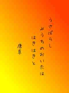 川柳イメージ