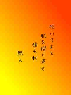 川柳イメージ