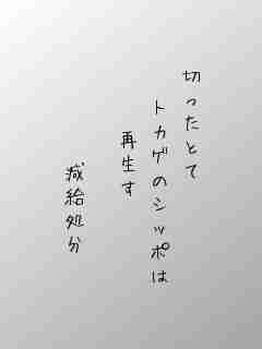 川柳イメージ