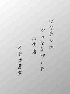 川柳イメージ