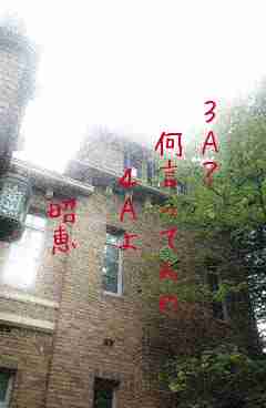 川柳イメージ