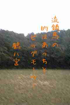 川柳イメージ