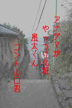川柳イメージ