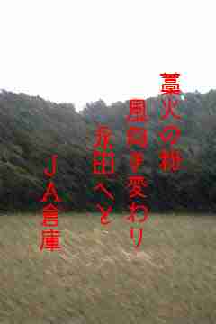 川柳イメージ