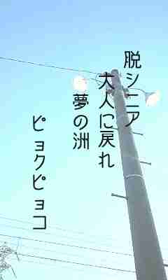 川柳イメージ
