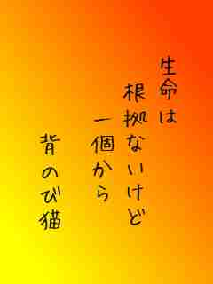 川柳イメージ